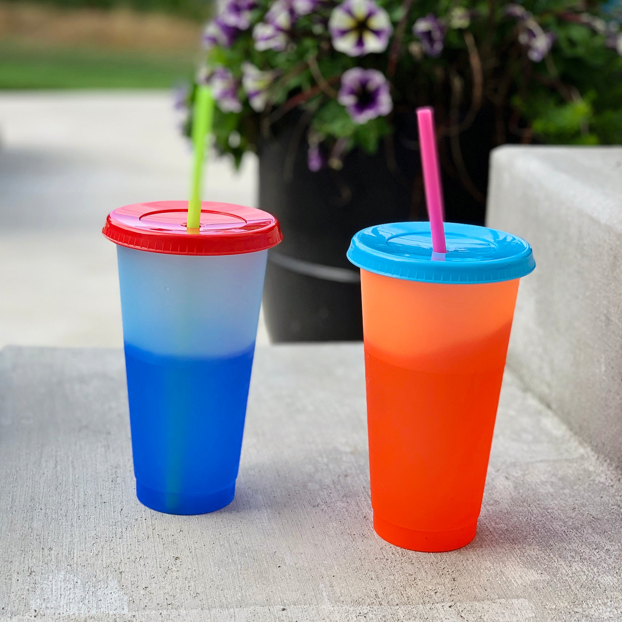 Color Changing Cups,Tumbler with Lids & Straw Set 24 oz Reusable Summer  Cold Drink Iced Coffee Cups Perfect Gift Set (5 Pack)