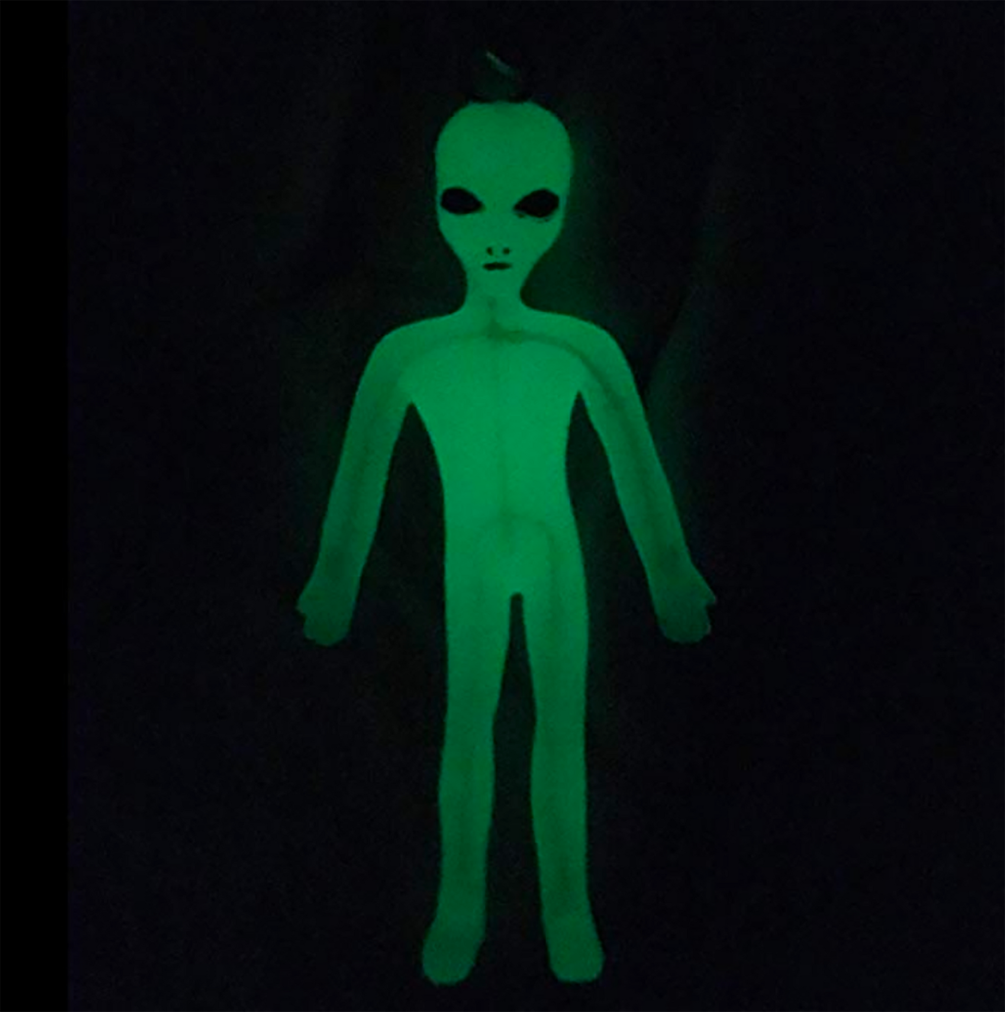 Alien Glow-in-the-Dark Bendable Keychain – Teagan & Ella